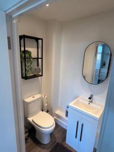 Koupelna v ubytování Abbotsbury 1 bed studio opposite UWE free parking