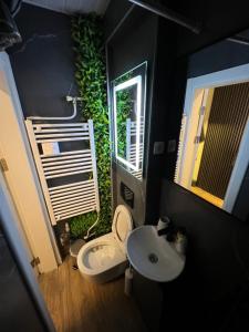 ein Bad mit einem WC, einem Waschbecken und einem Fenster in der Unterkunft The Pearl - In the heart of Skopje in Skopje