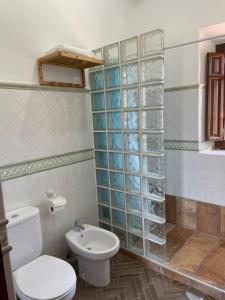 a bathroom with a toilet and a sink at Casa rural Los Caballos Finca Los Pelaeros in Alora