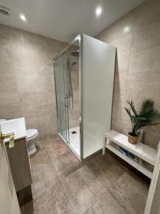 een badkamer met een douche en een toilet bij FONTARGENT 3 in Soldeu