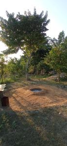 Corbett Nature Retreat外面的花园