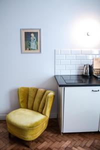 Kuchnia lub aneks kuchenny w obiekcie LION apartments - Gold