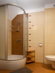 uma casa de banho com um chuveiro e um WC. em Słotwiny Arena em Krynica-Zdrój