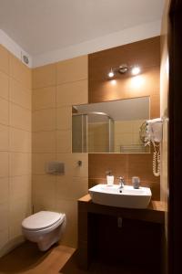 W łazience znajduje się umywalka, toaleta i lustro. w obiekcie Słotwiny Arena w mieście Krynica Zdrój