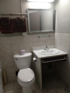 een badkamer met een toilet, een wastafel en een spiegel bij Park Lane Motor Hotel Medicine Hat in Medicine Hat