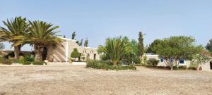 ein Haus mit Palmen davor in der Unterkunft Comme un hameau de charme dominant l'Océan in Essaouira