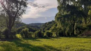 un campo de césped con árboles y montañas al fondo en Casa del Cerro San Javier en Yerba Buena