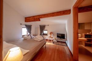 Habitación grande con cama y escritorio. en Agriturismo Mas dei Chini, en Trento