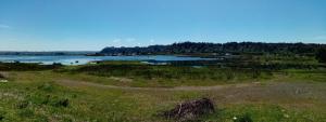 a large body of water with trees in the background at Cycling Hostel Piedra Azul in Puerto Montt