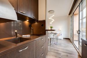 Η κουζίνα ή μικρή κουζίνα στο Studio Suite Annecy - Vue sur le château climatisation