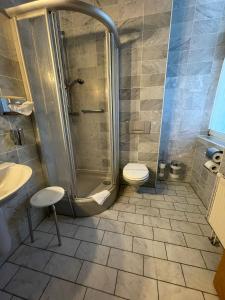 a bathroom with a shower and a toilet at Parkhotel Waldschlösschen in Annaberg-Buchholz