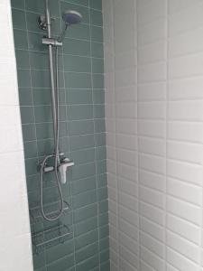 a bathroom with a shower with green tiles at CASA MAMA CARINA in Agüimes
