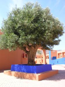 Fotografie z fotogalerie ubytování Hotel de Naturaleza Rodalquilar & Spa Cabo de Gata v destinaci Rodalquilar