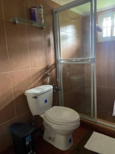 a bathroom with a toilet and a shower at Los Alessandria in Cerro Punta