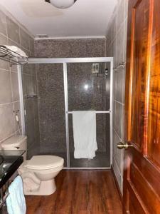 a small bathroom with a toilet and a shower at Los Alessandria in Cerro Punta