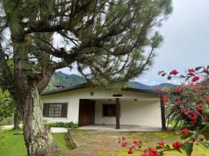 ein Haus mit einem Baum davor in der Unterkunft Los Alessandria in Cerro Punta