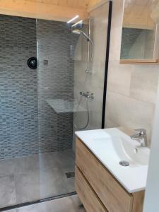 uma casa de banho com um lavatório e um chuveiro em De Porrel Polsbroek Unit met Privé Jacuzzi, Spa en Sauna em Polsbroek