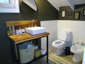 a bathroom with a sink and a toilet at Chacra La Invernada Pequeño Hotel de Campo in Villa Giardino