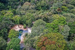 an aerial view of a bridge in the middle of a forest at Monteverde Lodge & Gardens in Monteverde Costa Rica