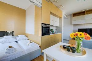 Kuchyň nebo kuchyňský kout v ubytování GO Apartments - ApartHotel