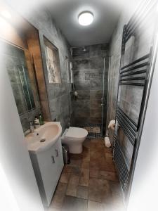 a bathroom with a sink and a toilet and a shower at Highlander House B&B in Rothesay