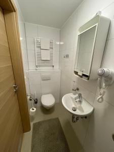 a bathroom with a toilet and a sink and a mirror at A&C Hotel in Backnang