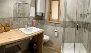 a bathroom with a toilet and a sink and a shower at Apartament Kaspruś in Zakopane