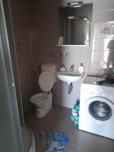 利夫諾的住宿－Apartman Zoran，一间带卫生间和水槽的小浴室