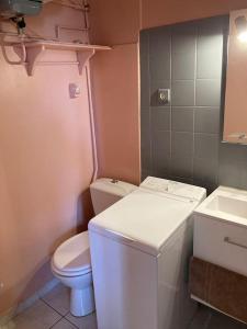 ein kleines Bad mit WC und Waschbecken in der Unterkunft Dans une station thermale, Studio dans résidence avec ascenseur in Amélie-les-Bains-Palalda