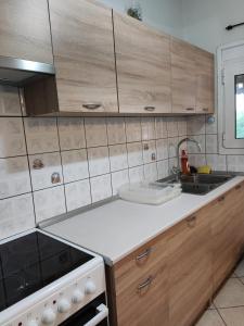 Kuchyň nebo kuchyňský kout v ubytování Agoritsas apartment