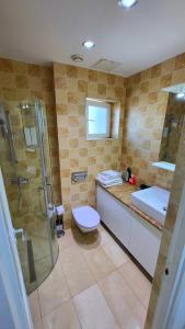 uma casa de banho com um chuveiro, um WC e um lavatório. em Garsoniera în centrul orașului vis a vis de hotel radisson em Bucareste