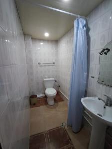 La salle de bains est pourvue de toilettes, d'une douche et d'un lavabo. dans l'établissement Jasmin, à Artashat