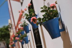 Fotografia z galérie ubytovania Apartamento La Estrella v destinácii Córdoba