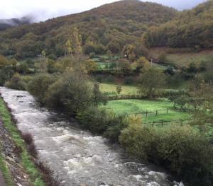 un arroyo de agua con árboles y una montaña en La Cuenca, Edificio Los Molinos, en Felechosa