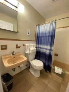 y baño con aseo, lavabo y ducha. en Wachapreague Inn - Motel Rooms, en Wachapreague