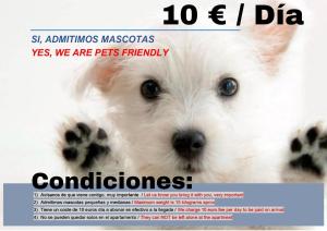 a magazine advertisement with a picture of a dog at www Goyahospitales es Peñalba Parking incluido in León