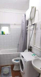 La salle de bains est pourvue de toilettes et d'un lavabo. dans l'établissement Apartman Aleksandar, à Odžaci
