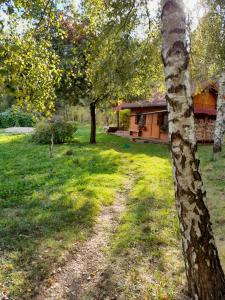 une cour avec des arbres et une maison en arrière-plan dans l'établissement Ło'Burka, à Chrztowo
