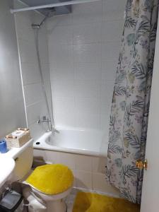 La salle de bains est pourvue de toilettes et d'un siège jaune. dans l'établissement Apartamento 1 dormitorio estacionamiento Hermosa vista, à Concepción