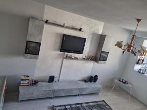 sala de estar con TV de pantalla plana en la pared en La Tanti Bobi, en Lupeni