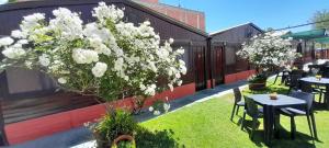 a garden with tables and chairs and white flowers at Hostal del Suri in Cafayate