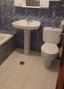 a bathroom with a toilet and a sink at Adosado Dr Fleming 12 in Poyales del Hoyo