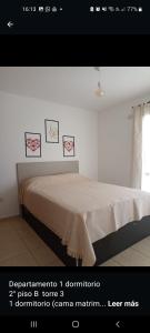 een slaapkamer met een bed met vier schilderijen erop bij Apartamentos Santa Rosa PB 1 in Cordoba