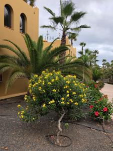 Zdjęcie z galerii obiektu Casa Molly w Corralejo