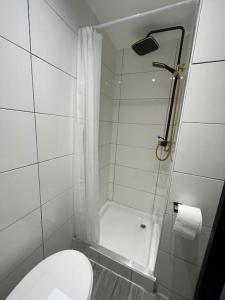 a small bathroom with a toilet and a shower at Newly refurbished 3 bedroom/2bathroom entire house in Lincoln