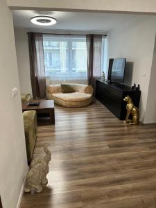 a living room with a couch and a television at Medena Apartment old town with free parking in Bratislava