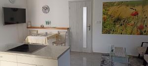 Kuchyň nebo kuchyňský kout v ubytování Apartmán GUTINO