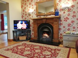 sala de estar con chimenea y TV en Rosswood House, en Donegal