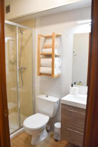 a bathroom with a toilet and a shower and a sink at ESTUDIO AVET - Perfecta ubicación in Pas de la Casa