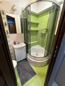 a bathroom with a shower and a toilet and a sink at Luxury apartaments Klimatyzacja 5 in Radom